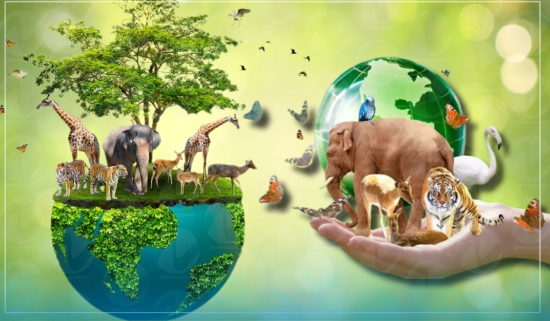 Día Mundial de los Animales: Un Llamado a la Conciencia y la Acción Global