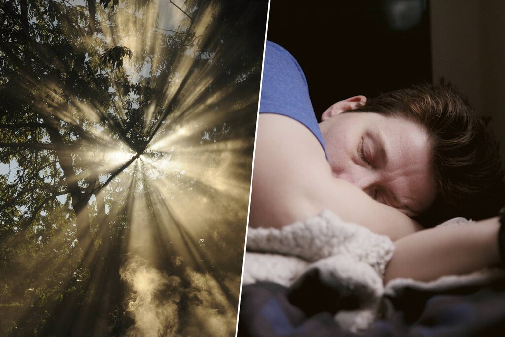 La Ciencia Reevalúa el Descanso Óptimo: La Influencia Crucial de la Luz